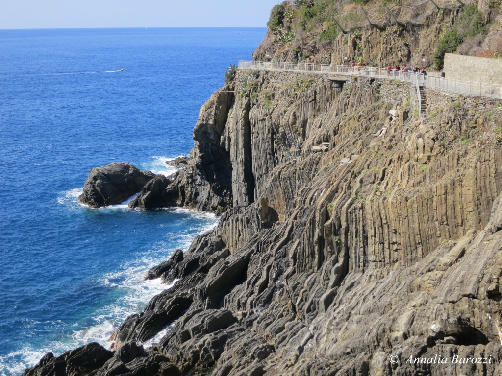 Cinque Terre - Arenarie zonate di Riomaggiore - Stratificazione verticale