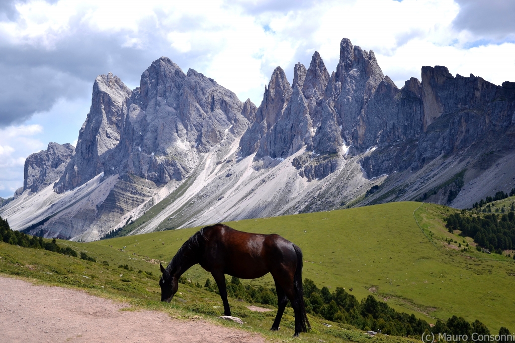 Massive dolomitic rocks (Sciliar Dolostone - Ladinian) overlying the Lower-Middle Triassic stratified limestones and sandstones (Buchenstein fm, Contrin limestone, Werfen fm) - (Odle-Puez Group)