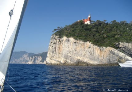 Italy - Portovenere - Isola del Tino - Falesia calcarea