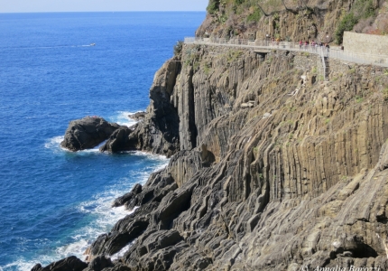 Cinque Terre - Arenarie zonate di Riomaggiore - Stratificazione verticale