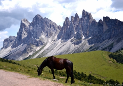 Massive dolomitic rocks (Sciliar Dolostone - Ladinian) overlying the Lower-Middle Triassic stratified limestones and sandstones (Buchenstein fm, Contrin limestone, Werfen fm) - (Odle-Puez Group)